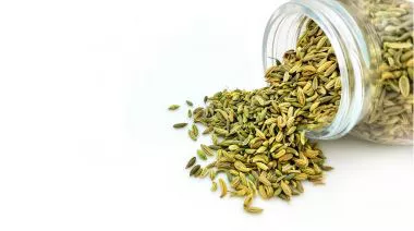 garnishing-instructions-image